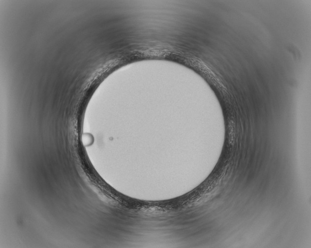 X0000110680634200907241044