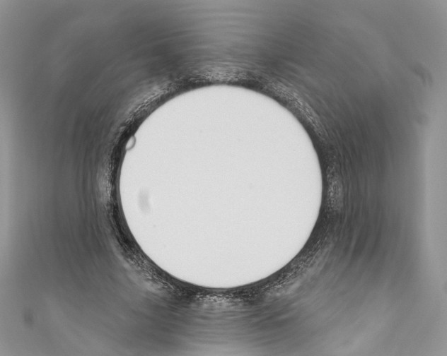 X0000110680635200907241044