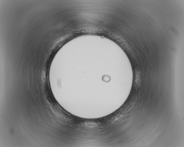 X0000110680636200907241044