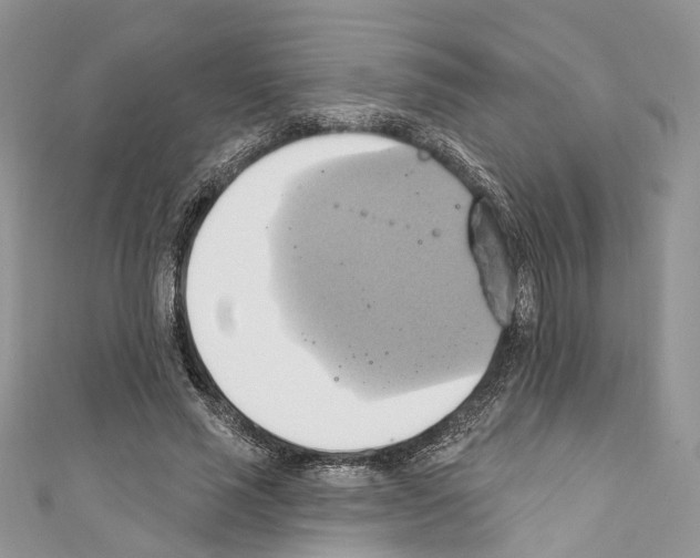 X0000110680637200907241044
