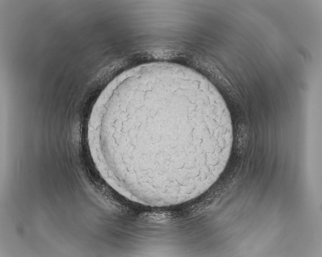 X0000110680639200907241044