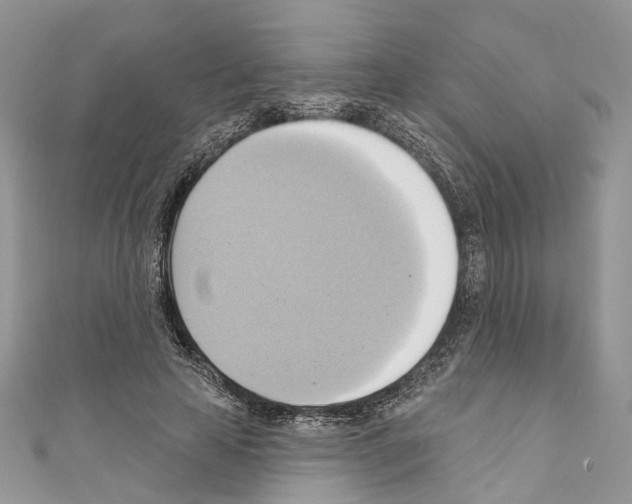 X0000110680641200907241044
