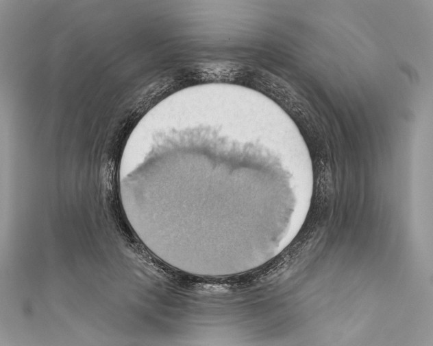 X0000110680649200907241044