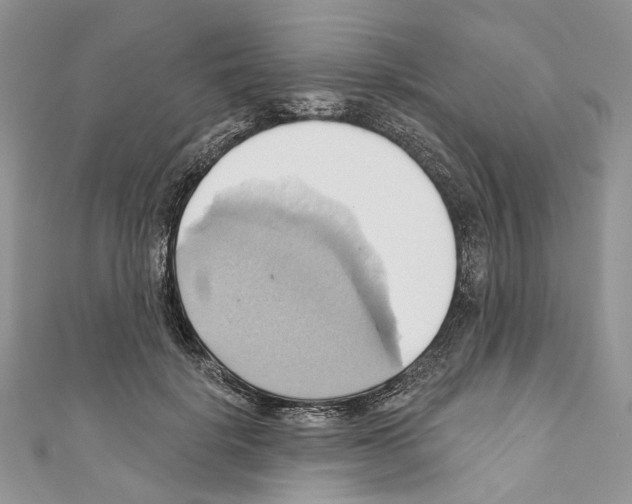 X0000110680652200907241044