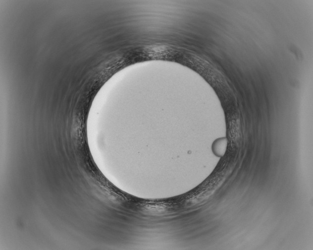 X0000110680653200907241044