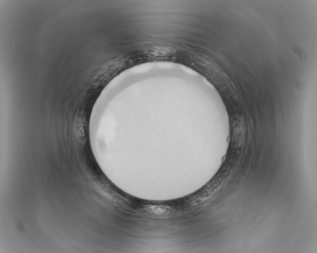 X0000110680654200907241044