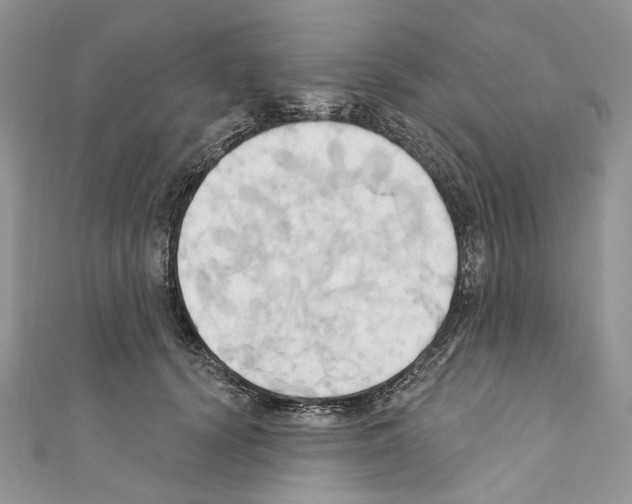 X0000110680656200907241044