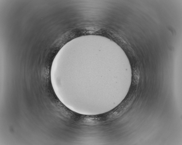 X0000110680657200907241044