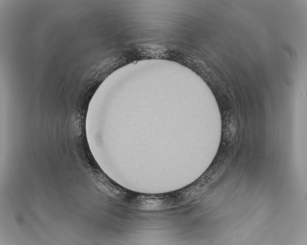 X0000110680658200907241044