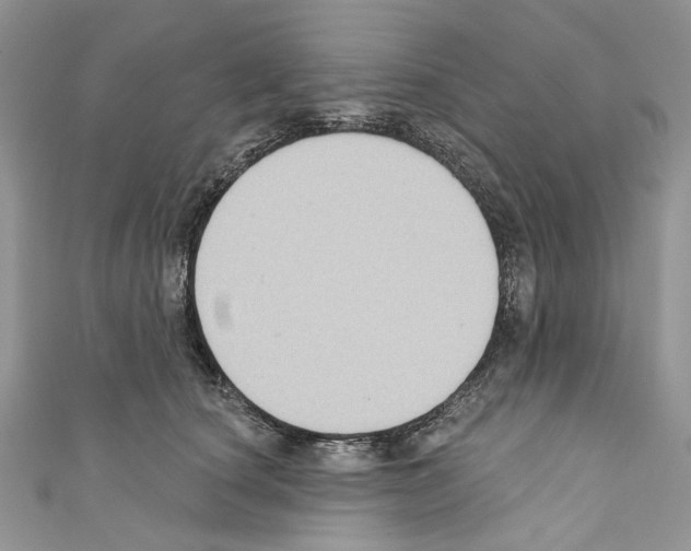 X0000110680660200907241044
