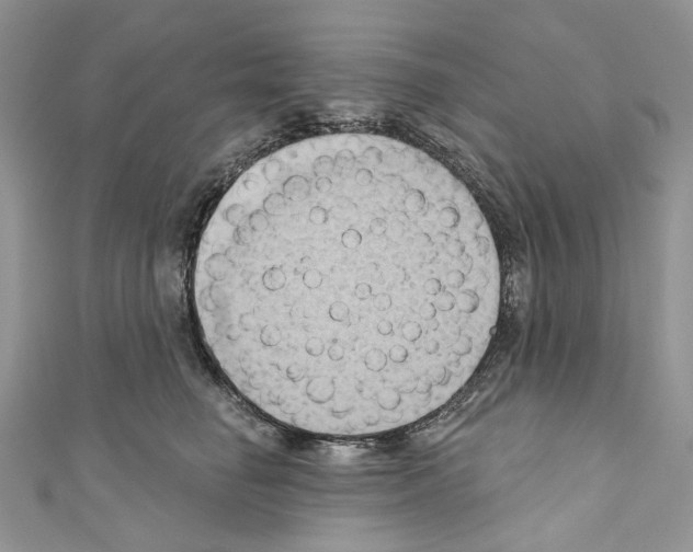 X0000110680662200907241044