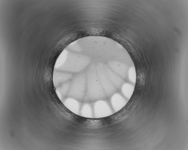 X0000110680665200907241044