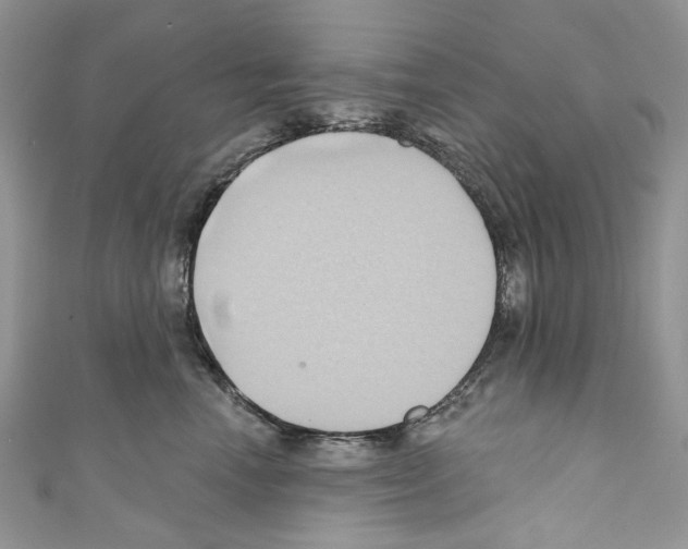 X0000110680666200907241044