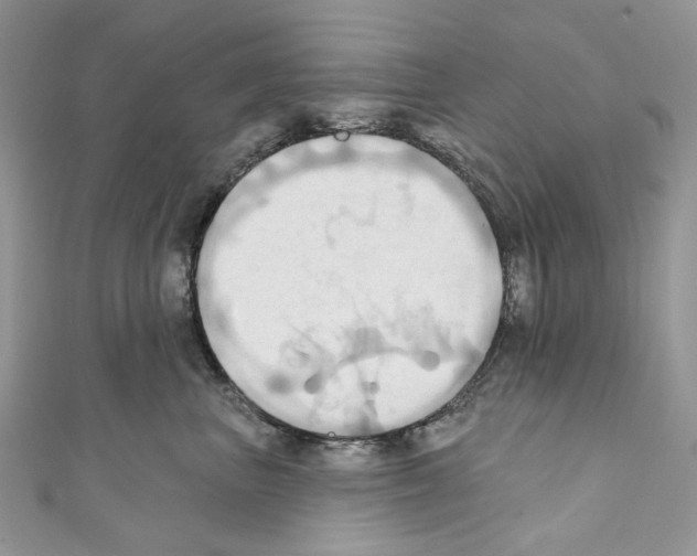 X0000110680667200907241045
