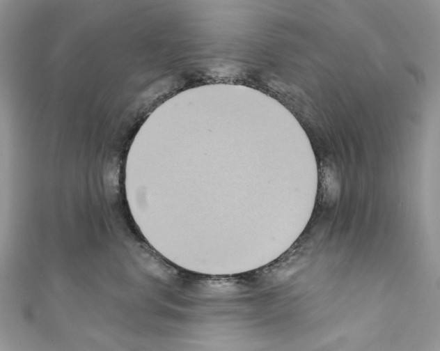 X0000110680668200907241045