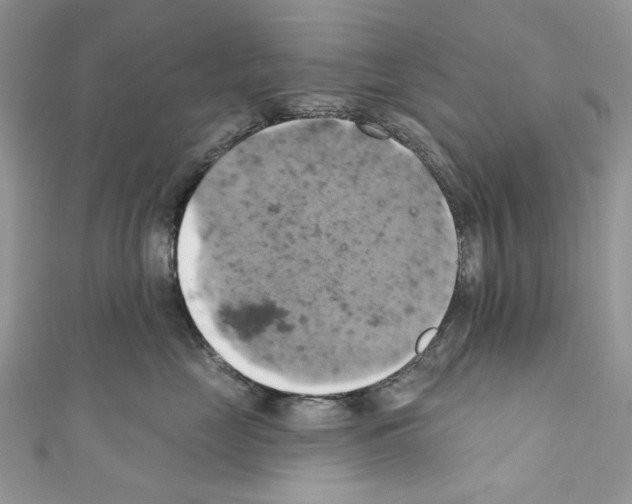 X0000110680669200907241045
