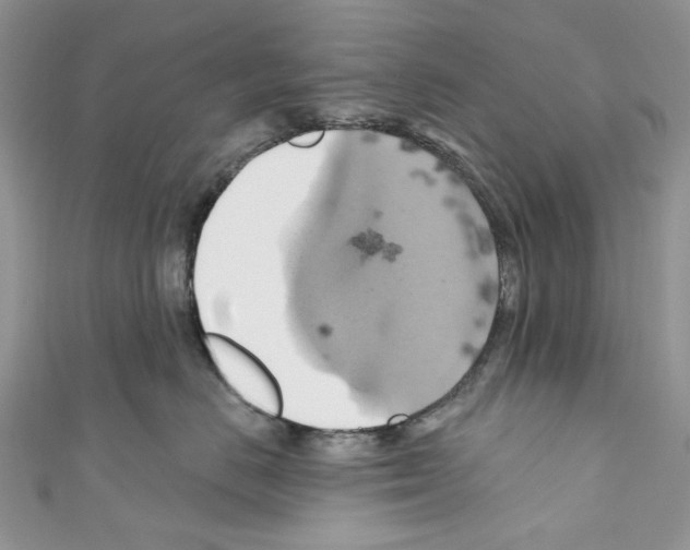 X0000110680670200907241045