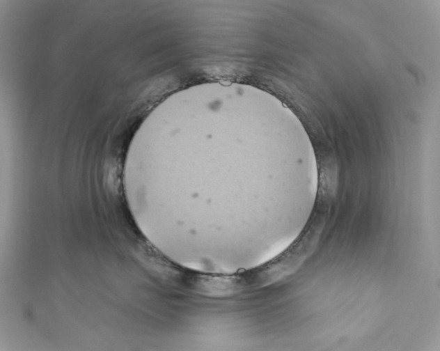 X0000110680671200907241045