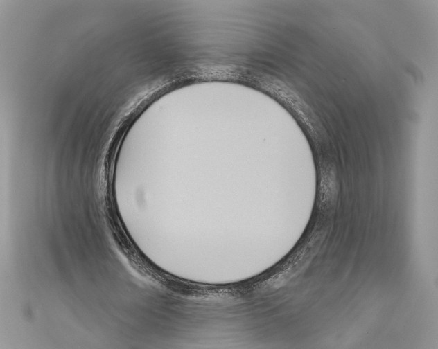 X0000110680674200907241044