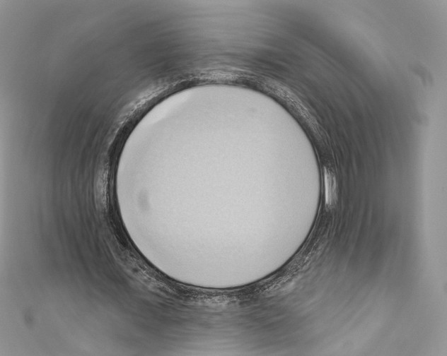 X0000110680675200907241044