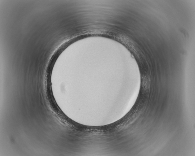 X0000110680676200907241044