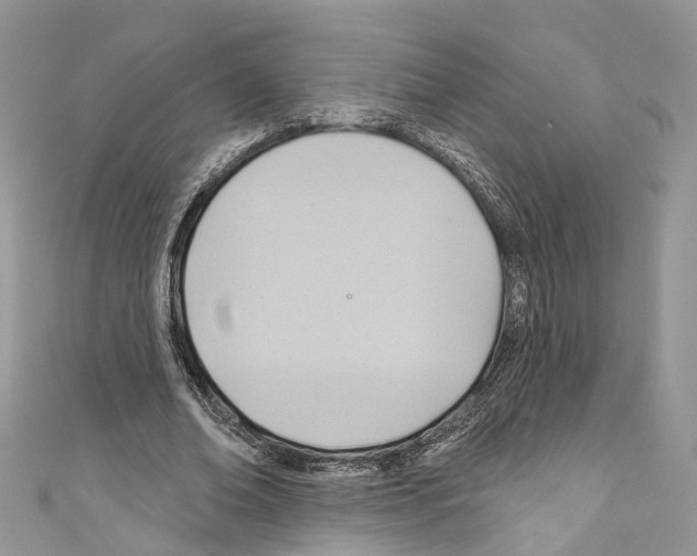 X0000110680678200907241044