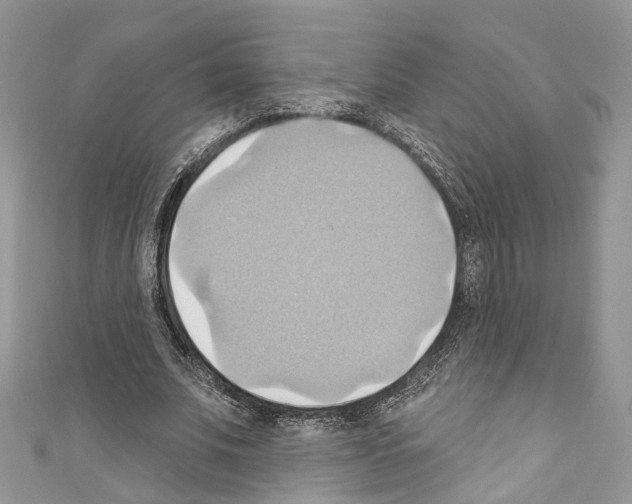 X0000110680679200907241044