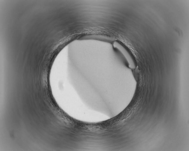 X0000110680681200907241044