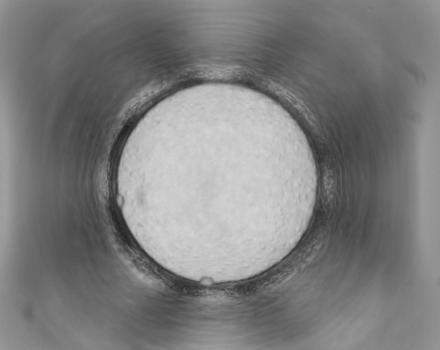 X0000110680682200907241044