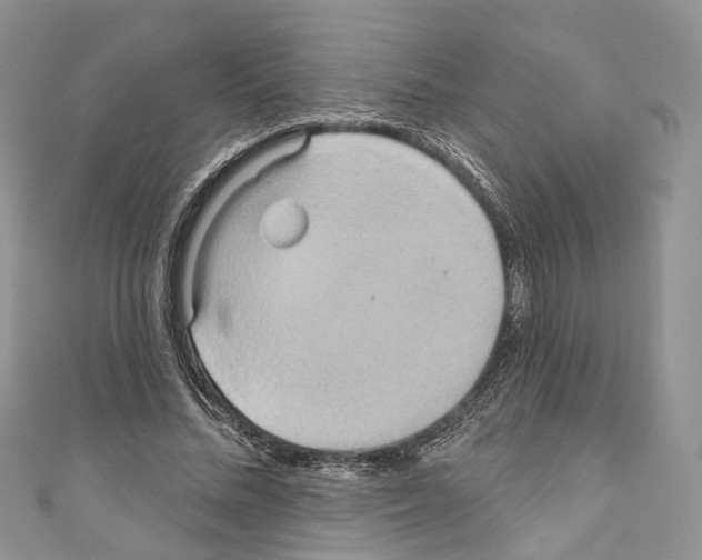 X0000110680684200907241044