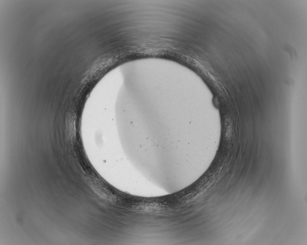 X0000110680685200907241044