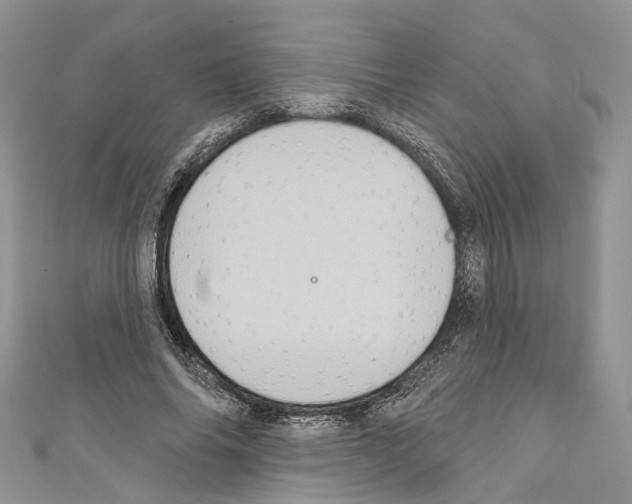 X0000110680686200907241044