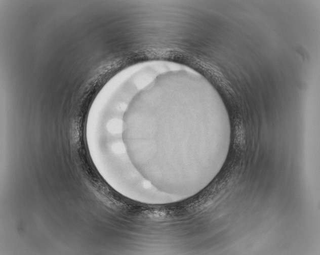 X0000110680687200907241044