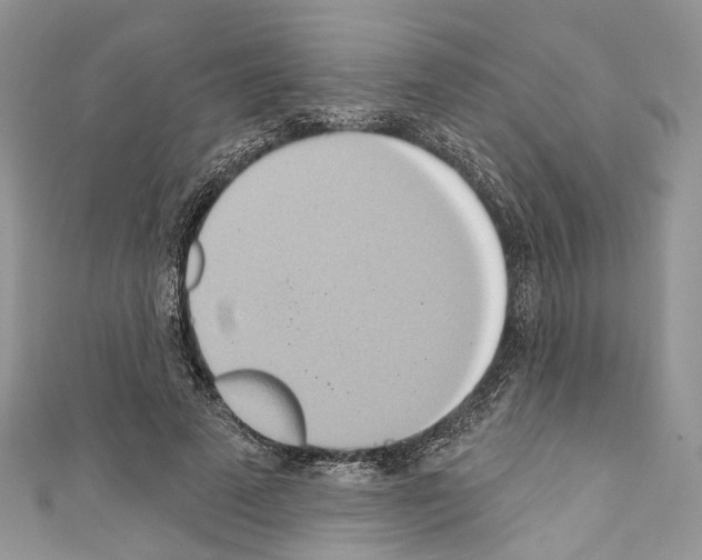X0000110680689200907241044