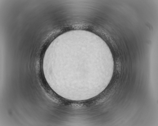 X0000110680690200907241044