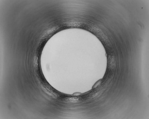 X0000110680692200907241044