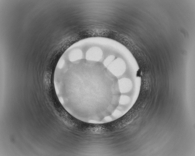 X0000110680695200907241044