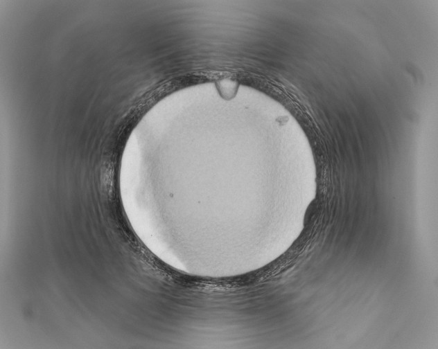 X0000110680697200907241044