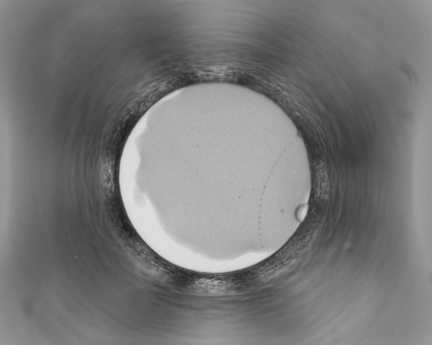 X0000110680699200907241044