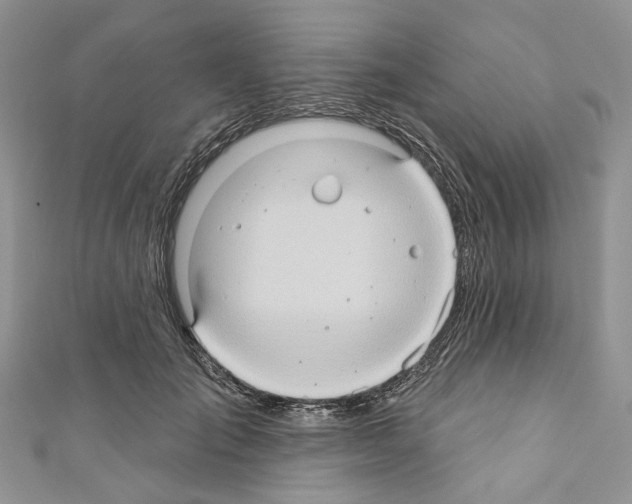 X0000110680701200907241044