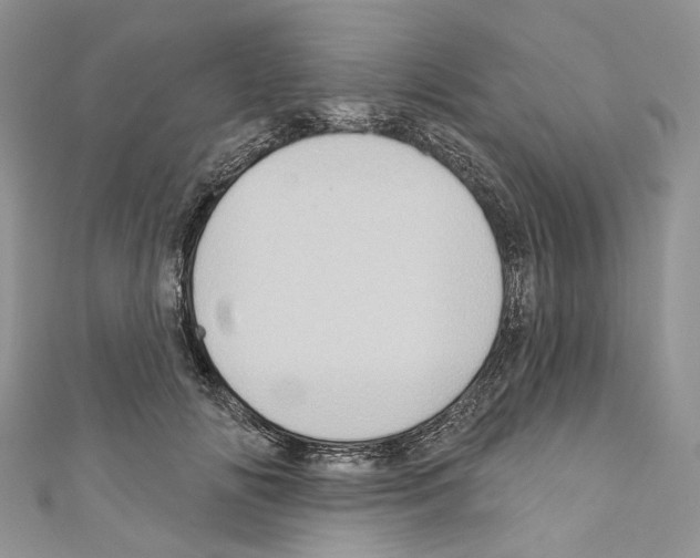 X0000110680702200907241044