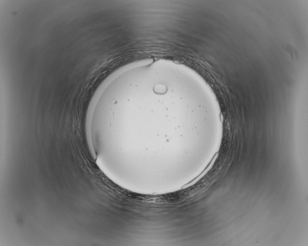 X0000110680705200907241044