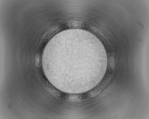 X0000110680709200907241043