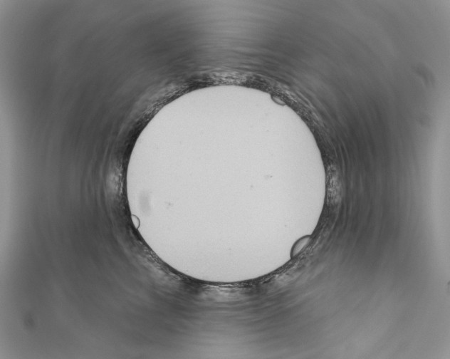 X0000110680713200907241043