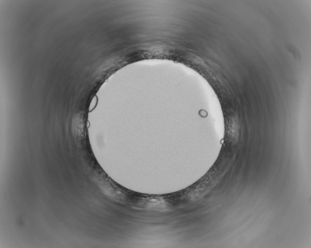 X0000110680715200907241043
