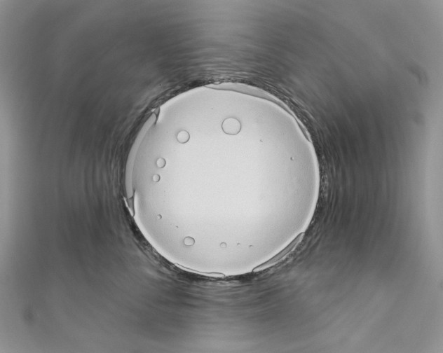 X0000110680716200907241043