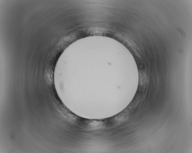 X0000110680718200907241043