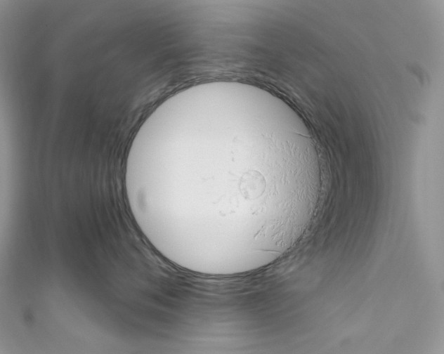 X0000110680720200907241043