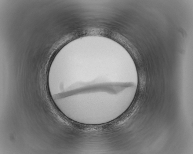 X0000110680721200907241043