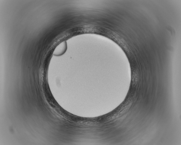 X0000110680722200907241043